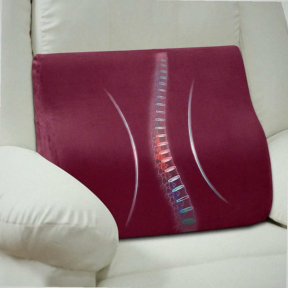 Back Support Pillow for Recliner Chair, Memory Foam Couch Back Cushions Ergon...