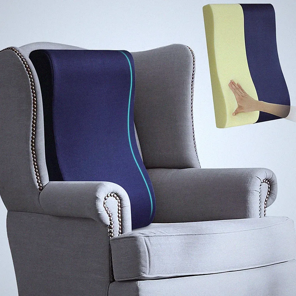 HAVARGO 2-in-1 Neck Pillow Lumbar Support Pillow for Recliner Couch& Glider Cha